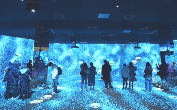 沉浸式数字影院：带你进入逼真的虚拟世界
