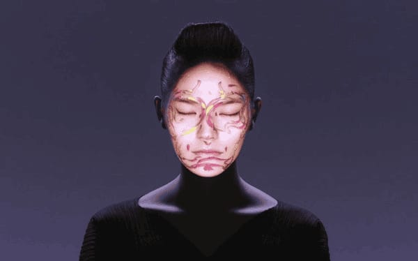 3D面部投影交互技术：让虚拟和现实融合